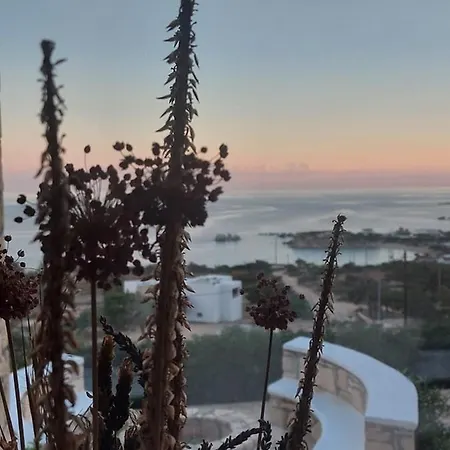 Vilă Evilia Luxury *